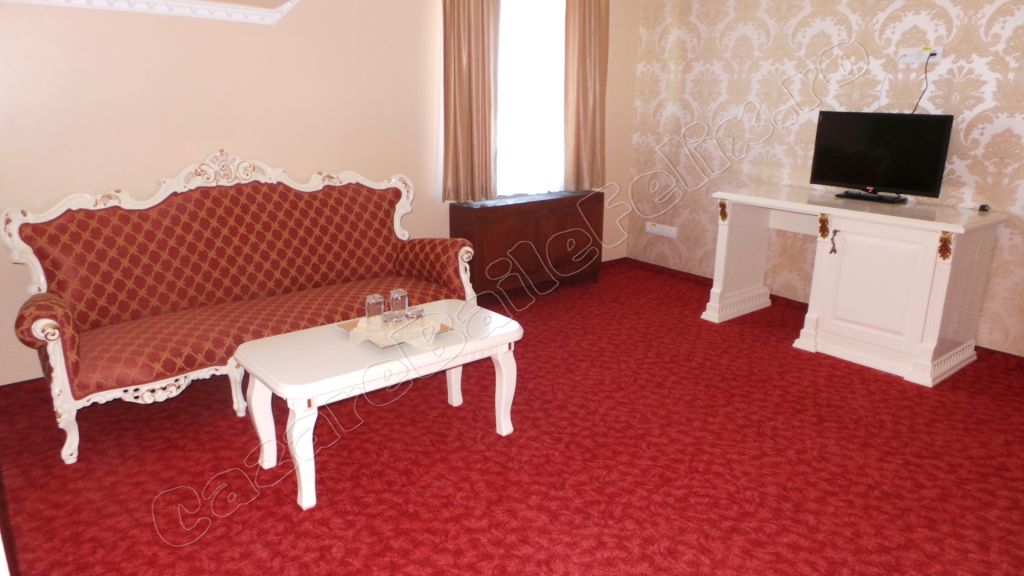 Cazare in Oradea - CASA ANTIC - Sanmartin Cazare in Oradea - CASA ANTIC - Sanmartin