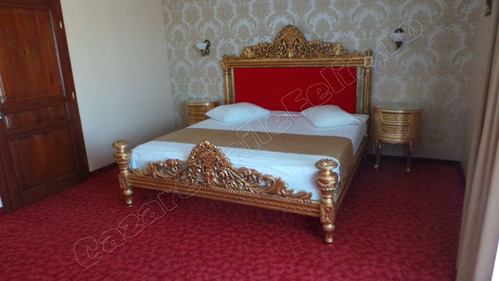 Cazare in Oradea - CASA ANTIC - Sanmartin Cazare in Oradea - CASA ANTIC - Sanmartin