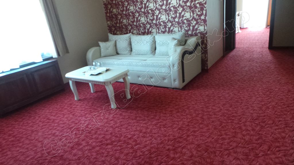 Cazare in Oradea - CASA ANTIC - Sanmartin Cazare in Oradea - CASA ANTIC - Sanmartin