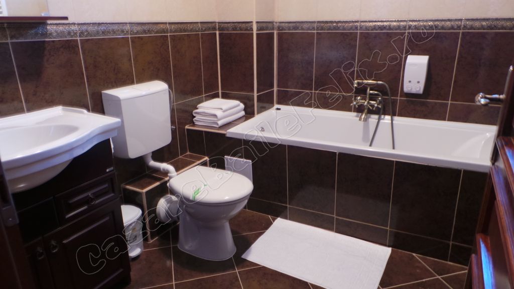 Cazare in Oradea - CASA ANTIC - Sanmartin Cazare in Oradea - CASA ANTIC - Sanmartin