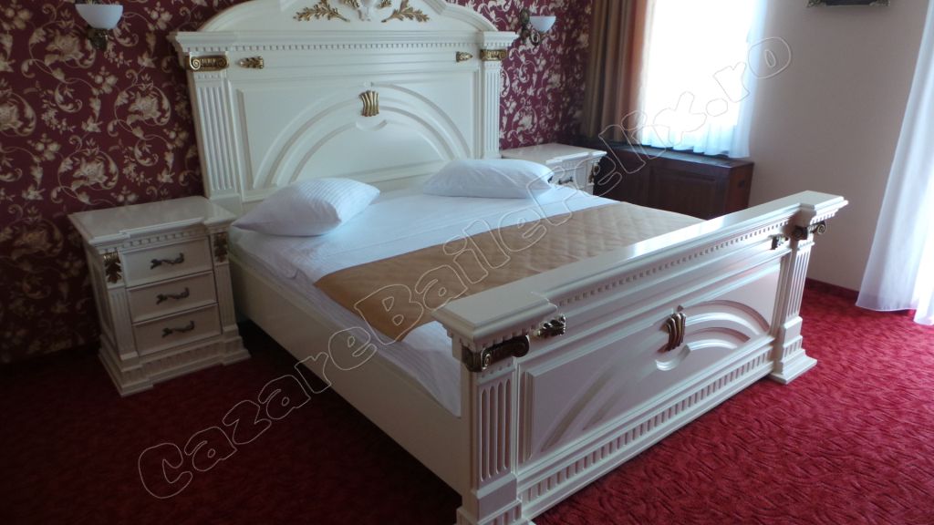 Cazare in Oradea - CASA ANTIC - Sanmartin Cazare in Oradea - CASA ANTIC - Sanmartin