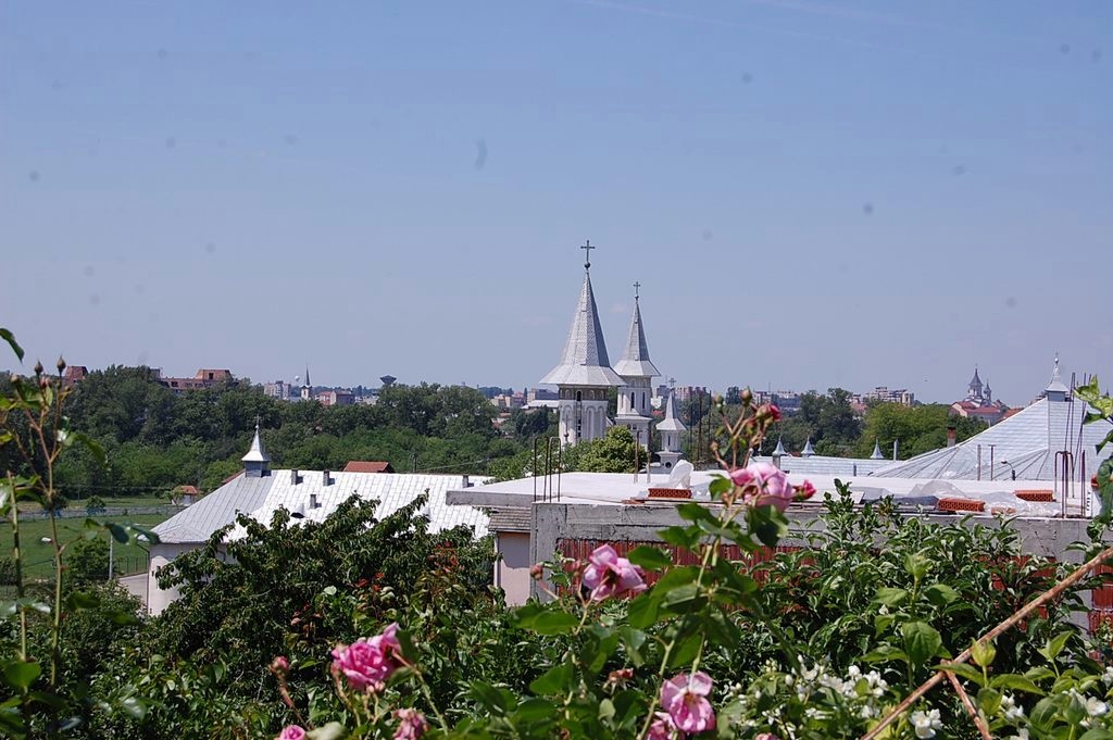 Cazare in Oradea - VILA RAZE DE SOARE - Oradea