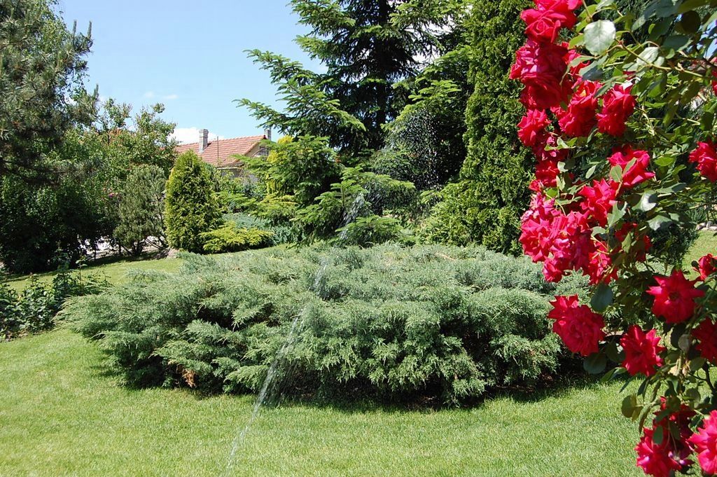 Cazare in Oradea - VILA RAZE DE SOARE - Oradea