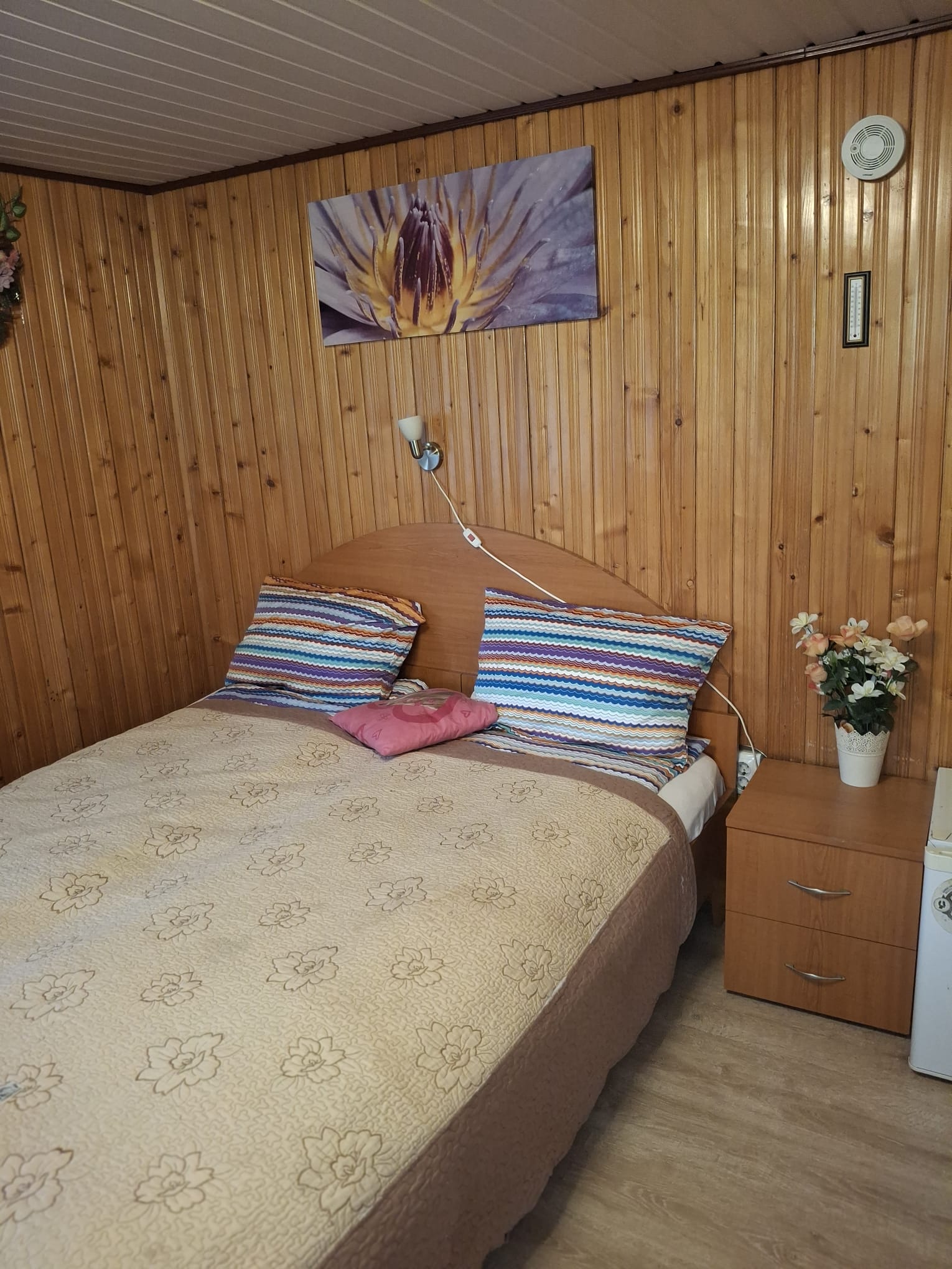Cazare in Oradea - PENSIUNE CASA MOV - Oradea Cazare in Oradea - PENSIUNE CASA MOV - Oradea