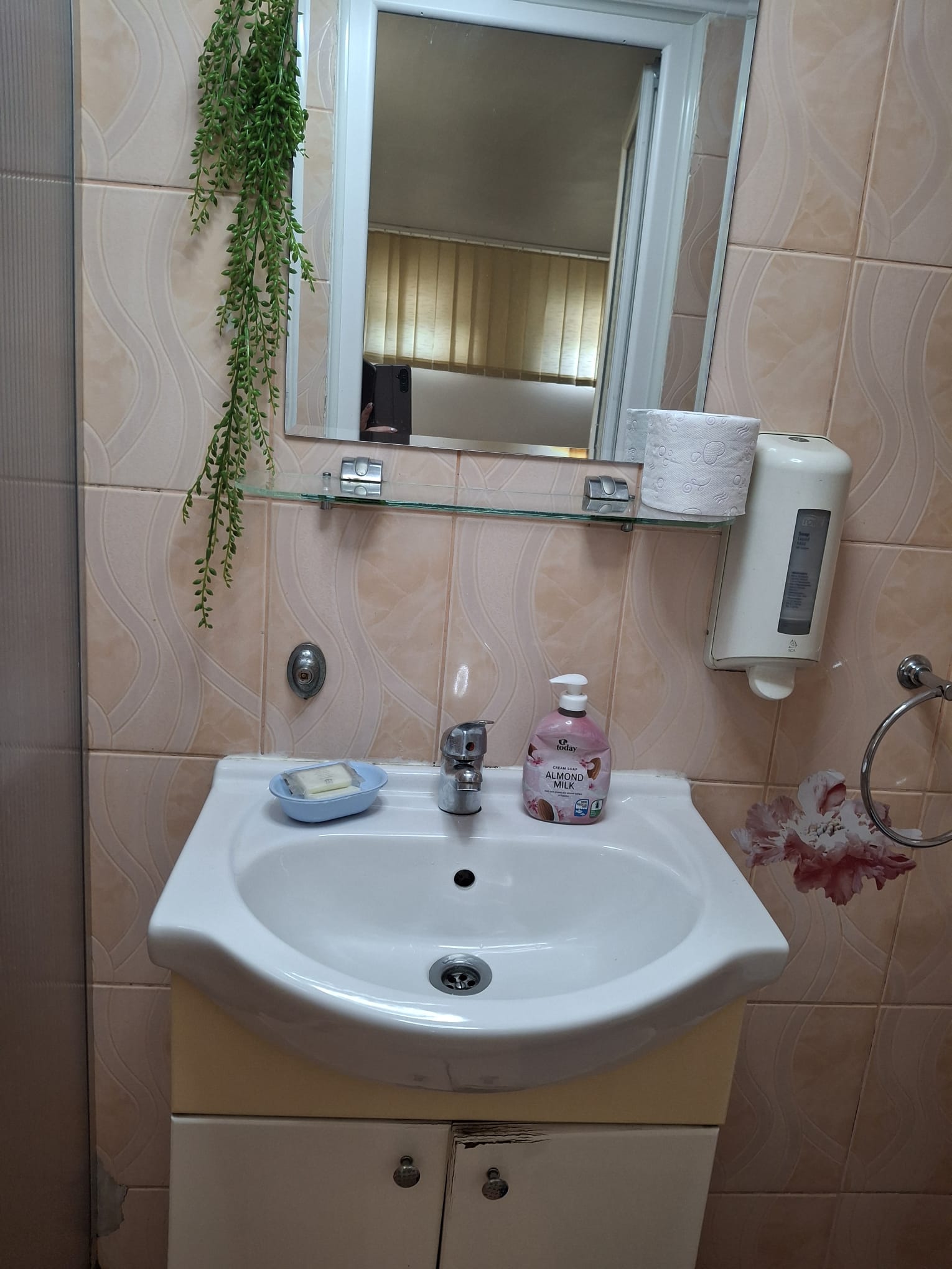 Cazare in Oradea - PENSIUNE CASA MOV - Oradea Cazare in Oradea - PENSIUNE CASA MOV - Oradea