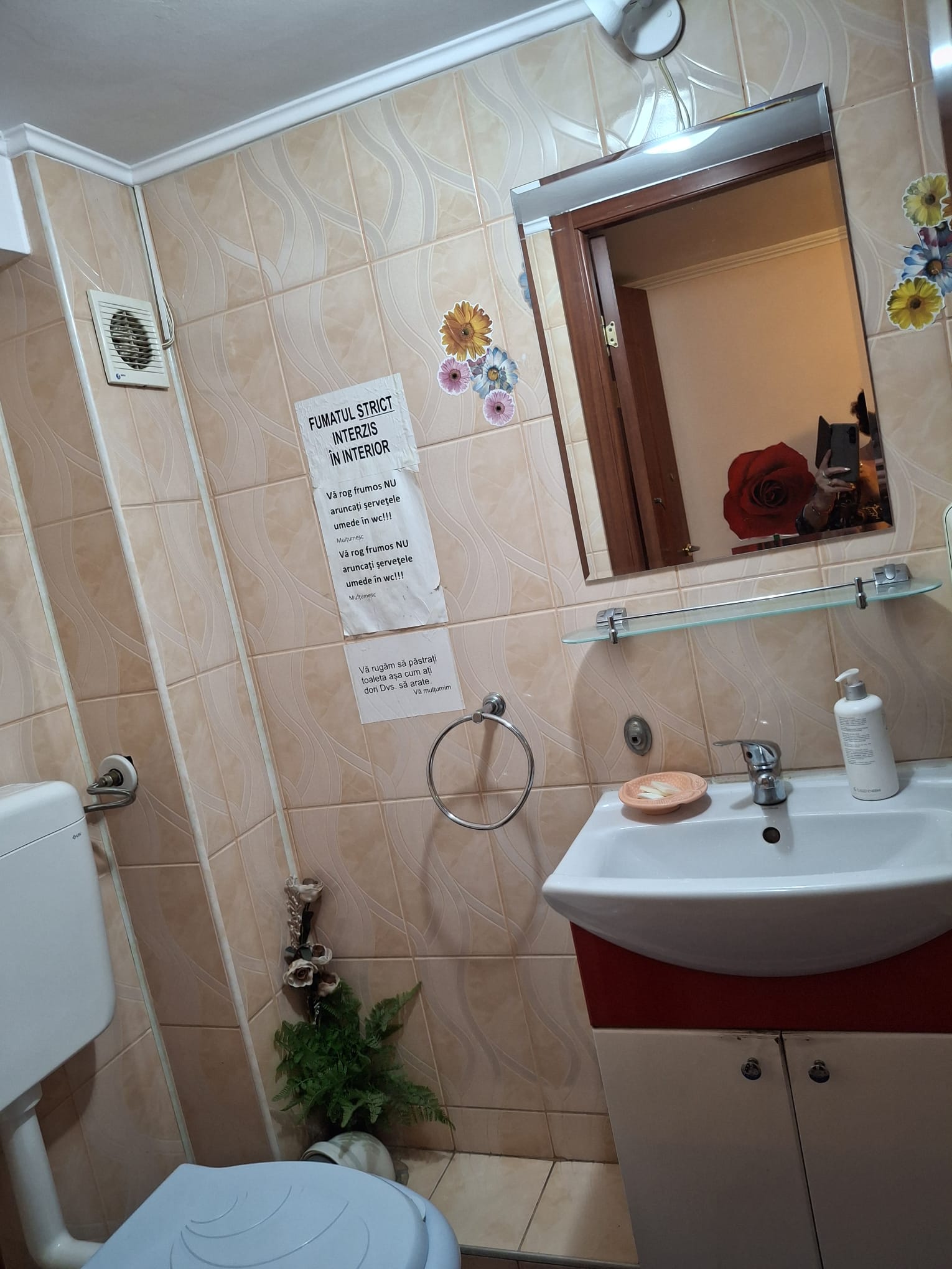 Cazare in Oradea - PENSIUNE CASA MOV - Oradea Cazare in Oradea - PENSIUNE CASA MOV - Oradea